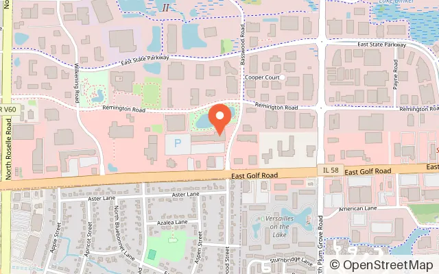 Map showing Sky Zone Trampoline Park in Schaumburg, IL