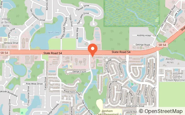 Map showing Tiny Tots Playtown in Lutz, FL