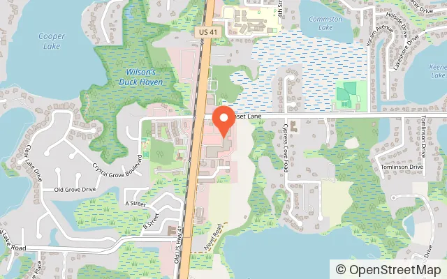 Map showing Milestone Adventure Zone in Lutz, FL