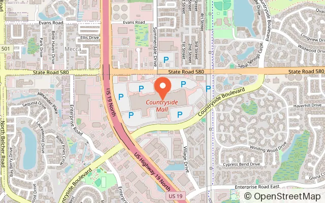 Map showing Tampa Bay Skating Academy – Countryside in Clearwater, FL