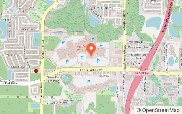 Map showing Elev8 Fun in Tampa, FL