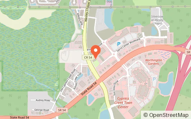 Map showing PopStroke in Lutz, FL