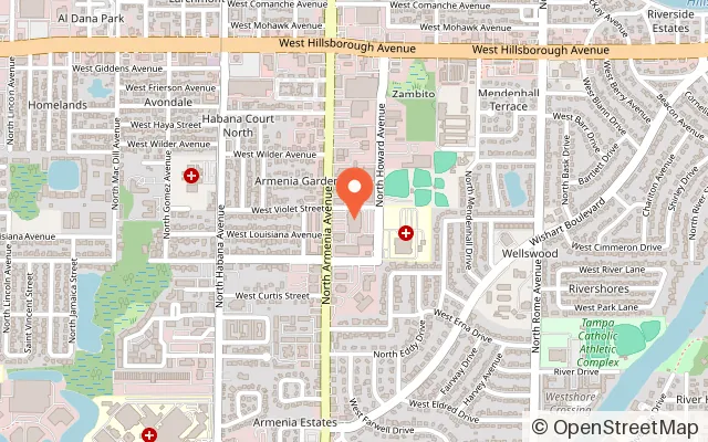 Map showing Pin Chasers in Tampa, FL
