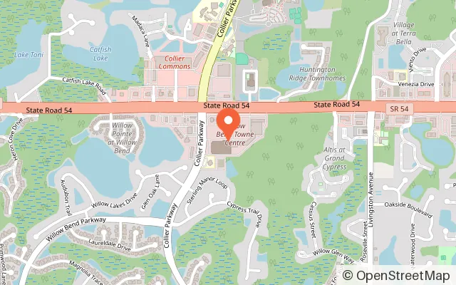 Map showing Flying Squirrel Trampoline Park in Lutz, FL