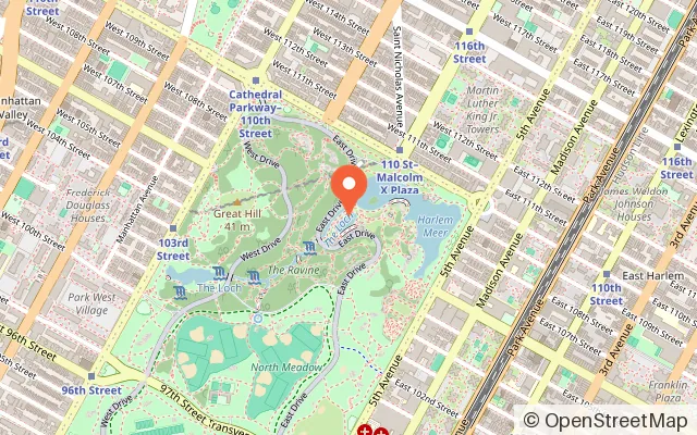Map showing Gottesman Rink at the Davis Center in New York, NY