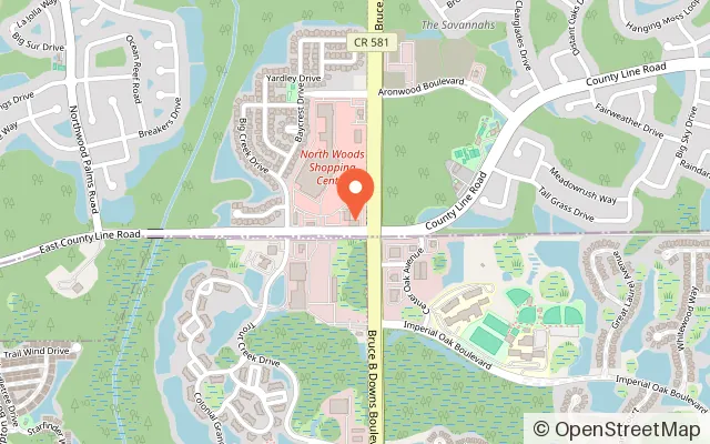 Map showing WonderGrounds Play Cafe in Wesley Chapel, FL