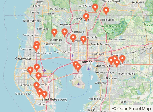 Map of 22 venues near Tampa